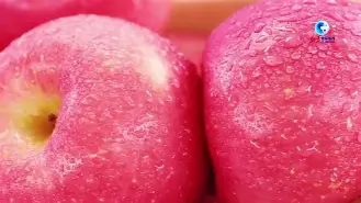 zaltv苹果版(越南版zalo苹果手机版下载)-第5张图片-QuickQ官网