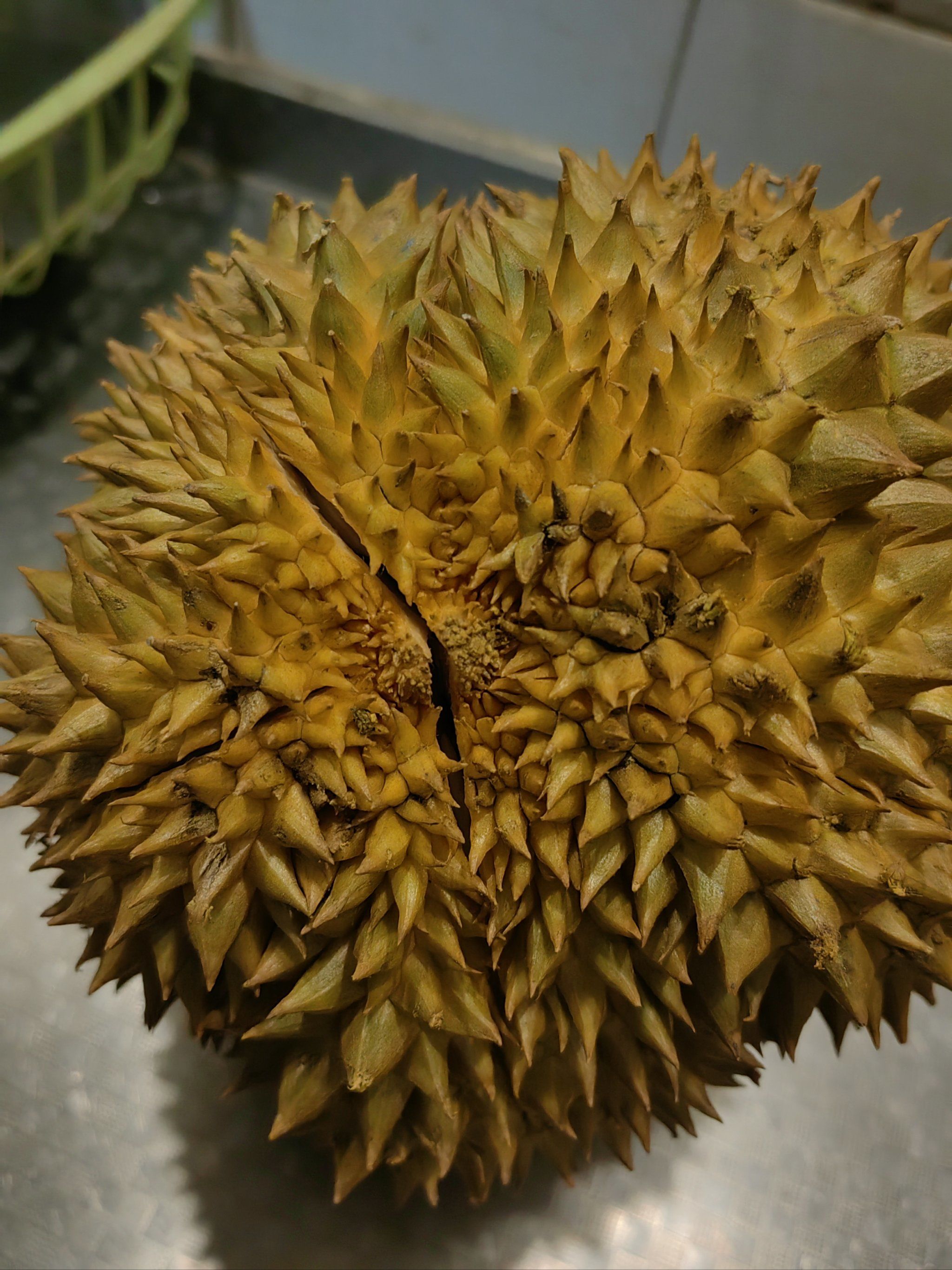 苹果版榴莲视频色版(榴莲视频苹果版app网址下载)-第5张图片-QuickQ官网 苹果版榴莲视频色版(榴莲视频苹果版app网址下载)-第5张图片-QuickQ官网