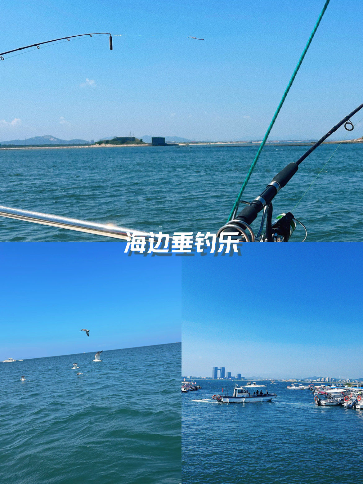 手机深海垂钓版(深海垂钓破解版中文)-第1张图片-QuickQ官网 手机深海垂钓版(深海垂钓破解版中文)-第1张图片-QuickQ官网