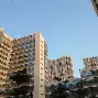 锤子手机白面版和黑面版(锤子手机成黑白了,怎么恢复彩色)